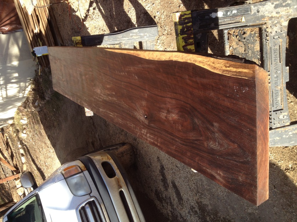 Live Edge Walnut Slabs
