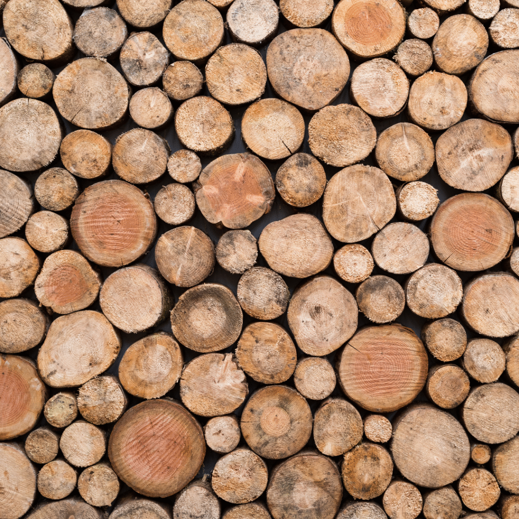 reclaimed wood assessments